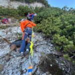 Reichenhaller, Unkener und Freilassinger Bergwacht retten zwischen Sonntagshorn und Aibleck abgestürzten Labrador